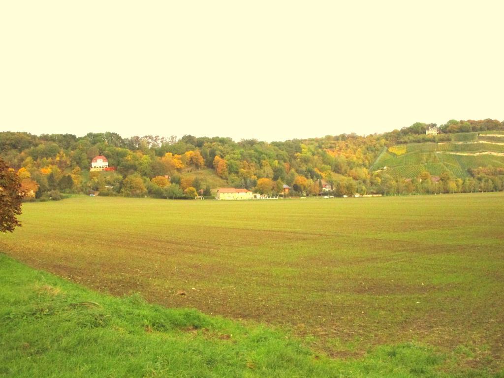 Naumburg Naumburg (Saale)